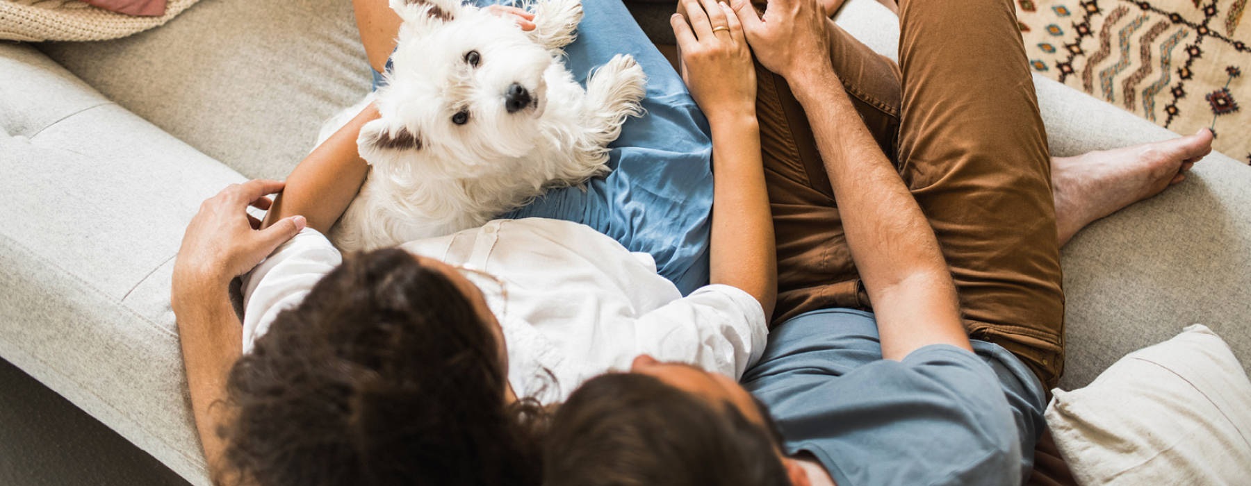 overhead shot of couple on the couch with their dog